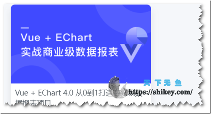 《Vue + EChart4.0 从0到1打造商业级数据报表项目（官方正版课程1元购）》