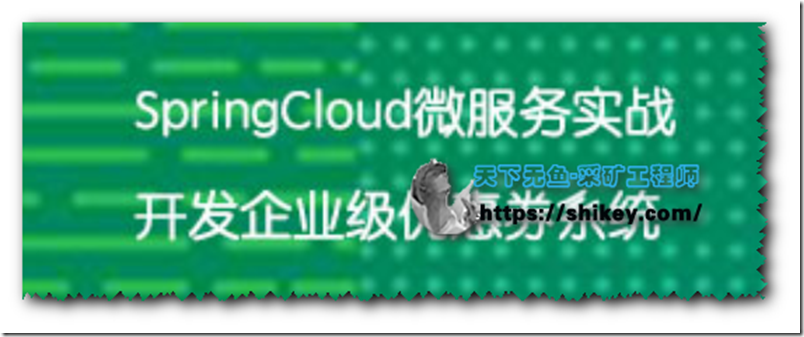 《Spring Cloud微服务框架 实战企业级优惠券系统|实战课|百度云下载》