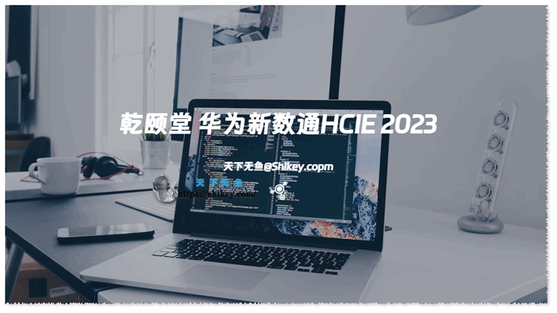 《[SVIP] 乾颐堂 华为新数通HCIE 2023 .11版 百度网盘下载》