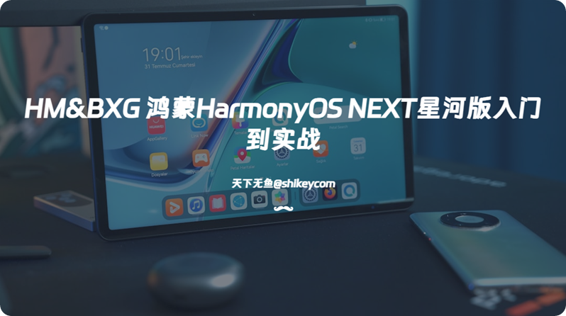 《HM&BXG 鸿蒙HarmonyOS NEXT星河版入门到实战 百度网盘下载》