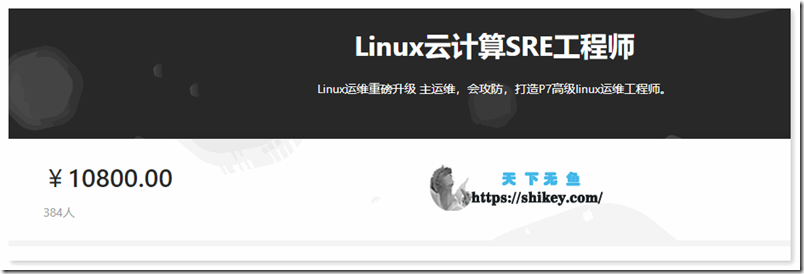 《[SVIP] 猿来教育 Linux云计算SRE工程师(完结) 70GB 2022 百度网盘下载》