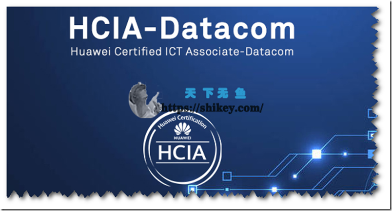 《WOLF实验室 HCIA Datacom全套视频（2022年6月版）》