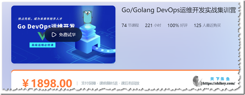 《腾讯课堂 阿良（李振良）Go/Golang DevOps运维开发实战集训营》
