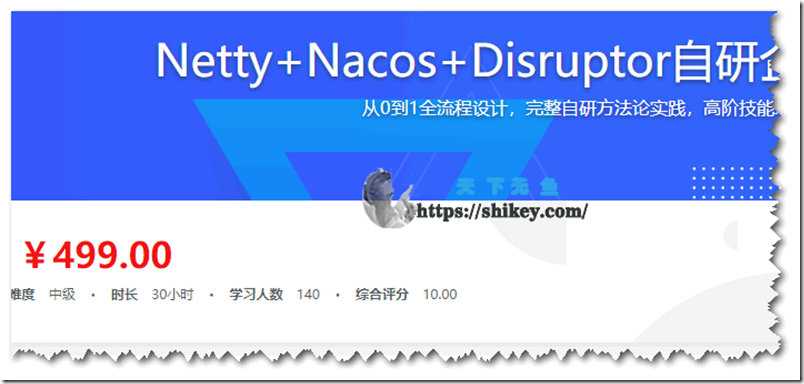 《Netty+Nacos+Disruptor自研企业级API网关（10章）》