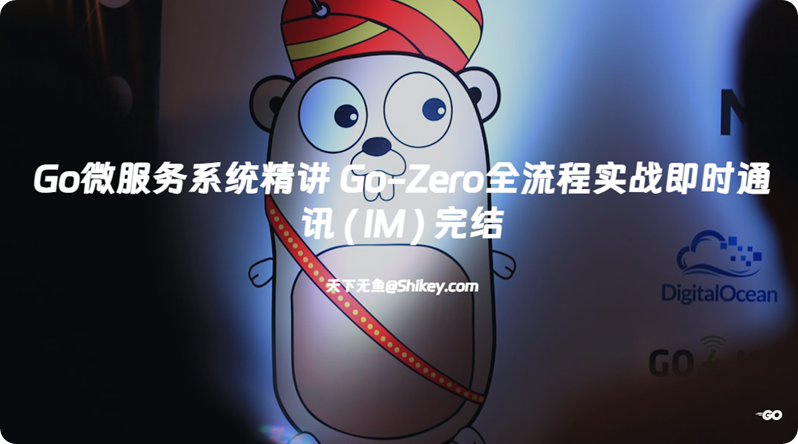 《Go微服务系统精讲 Go-Zero全流程实战即时通讯 ( IM ) 完结》