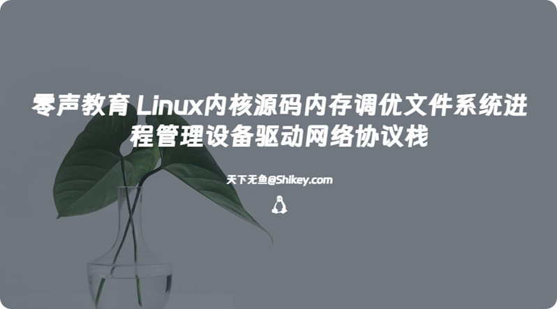 《零声教育 Linux内核源码内存调优文件系统进程管理设备驱动网络协议栈 百度网盘下载》