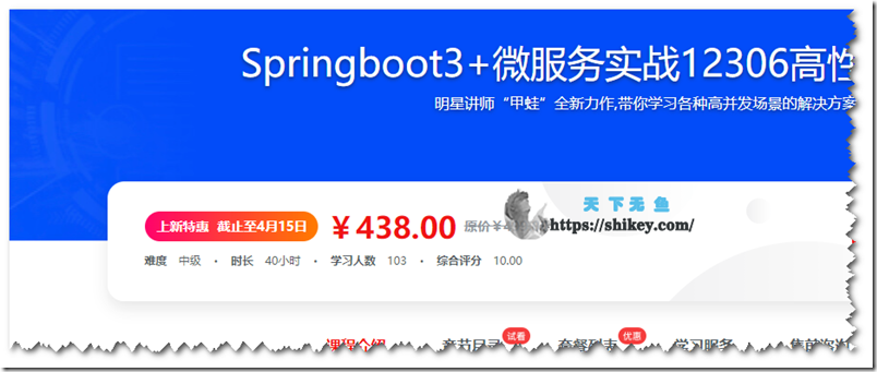 《新版Springboot3.0打造能落地的高并发仿12306售票（11章）》