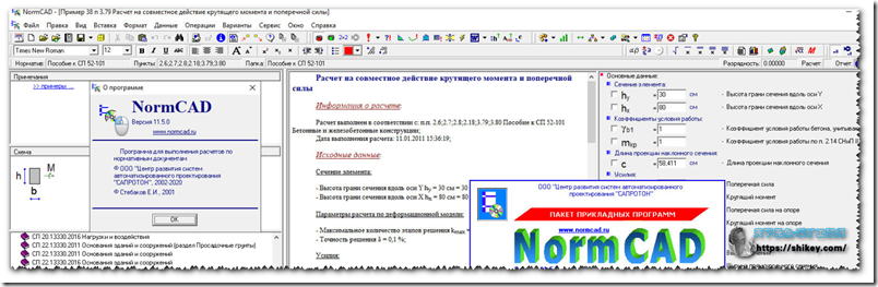 《SAPROTON NormCAD v11.5 结构设计cad下载》