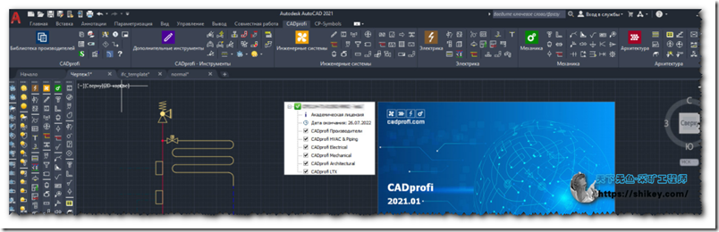 《CADprofi 2021.01 build 201109|效率百倍的CAD二开插件》