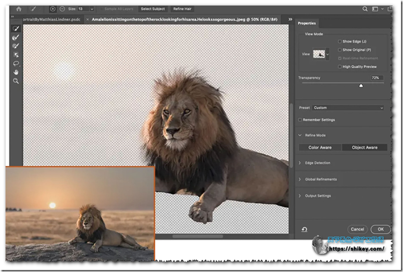《Adobe Photoshop 2021 v22.0.1.73 + CameraRaw v13.0.2|BT+本地下载》