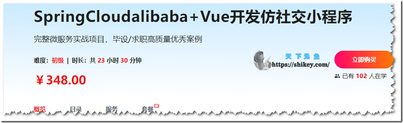 《SpringCloud alibaba+Vue，开发仿社交小程序（完结）》